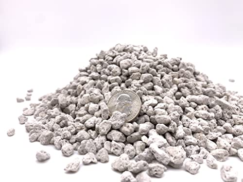Pumice for Bonsai, Succulent, Cactus, Alocasia, Monstera, and Tropical Aroids | 20 Quarts Bag | 1/4” Particle Size | The Bonsai Supply - size: Pumice 20 Quarts