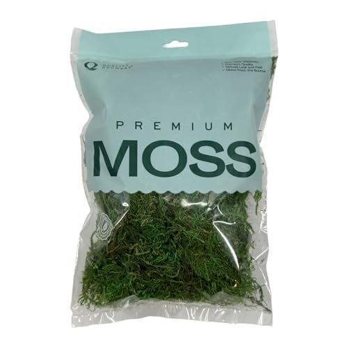 Preserved Sheet Moss - Natural Decorative Moss - Dried Moss for Crafts, Home Decor, Art, Design & DIY Projects - Non-Toxic - Green - Small - color: Sheet Moss, size: Small