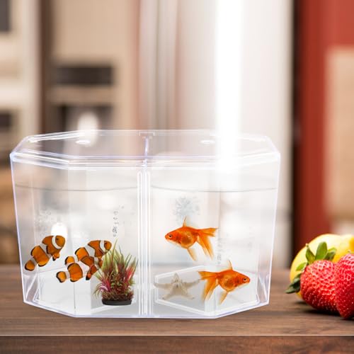POPETPOP Mini Acrylic Fish Breeding Tank: Transparent Fish Breeding Box with Divider - Small Aquarium for Shrimp