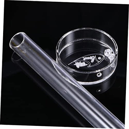 BESPORTBLE Acrylic Shrimp Feeder Tube Bowl Aquarium Supplies Feeder for Shrimp Food Tube