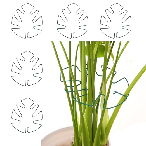 Spiritlele 5 Pcs Green Plant Stem Support Holder Set Monstera Plant Support Clamp Growth Accessories for Indoor Plants Small - color: Green, size: 5.5x5.1inch