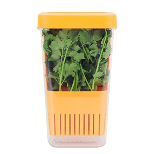 Fresh Herb Keeper for Refrigerator, Clear BPA-Free Herb Saver, Storage Container for Cilantro, Parsley, Thyme, Mint & Asparagus, Preserver Keeps Fresh Herbs for 3 Times Longer, Orange