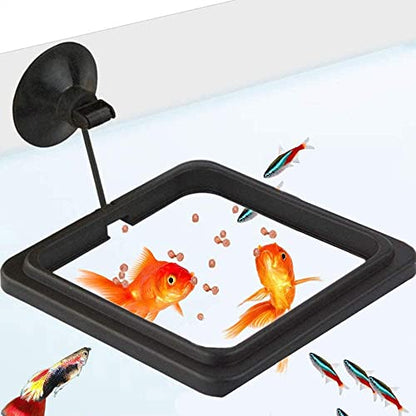 Fish Feeding Ring, Fish Floating Food Feeder with Suction Cup Square Shape Tank Feeder Aquarium Turtle Tank Accessories Food Goldfish, Turtle(Round,Black)
