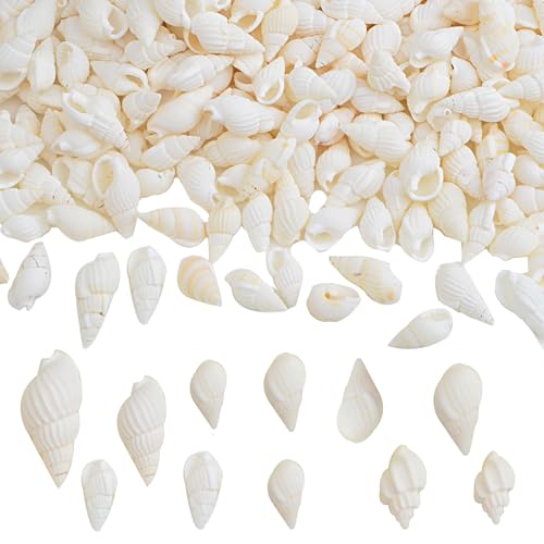 Approx 700pcs Small White Clam Cay Seashells Natural Tiny Sea Shell Mini Spiral Conch Shells Crafts Charm Accessories for DIY Fish Tank Vase Fillers Home Beach Party Decorations - color: White