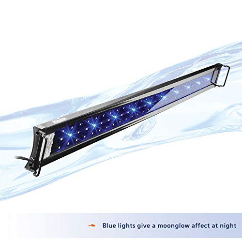 Aqueon LED OptiBright Fish Tank Aquarium Light Fixture, 48-54 Inch - size: 48-54 Inch