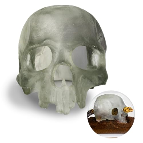 Spooky Skull Décor, Premium Aquarium Resin Skull, Fish Tank Skull Decoration, Unique and Durable Snake/Reptile Hide, Halloween Aquarium Décor for Small Pets, Perfect for Terrarium Décor - color: Clear