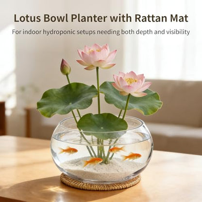 Lotus Bowl Planter with Rattan Mat, 10 in Clear Glass Hydroponic Bowl, Indoor Aquatic Plant Terrarium for Lotus and Water Greens, Transparent Decorative Lotus Pot, Fish Tank