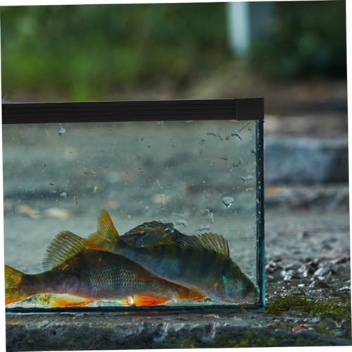 Safety Edge Protector for Fish Tank Aquarium Safety Protector Wear-Resistant s Prevents Spills for Home Use - size: 40.00X40.00X2.50CM