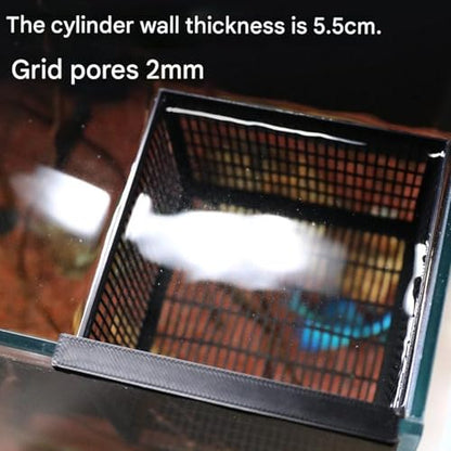Fry Isolation Box,Aquariums Fishing Fry Isolation Box for Secure Habitat Bettas Fry Ventilation Holes Oxygen Flows Easyly Install - color: White