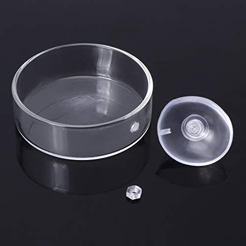 Aquarium Shrimp Feeding Dish with Suction Cup High Transparent Glass Bottom Feeder Food Bowl 2.4x0.7 Inch Round Tray