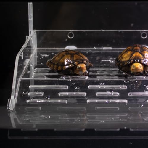 Clear Climbing Rest - Acrylic Turtle Ramp, Aquarium Tank Terrace Dock, Reptile Habitat Accessories Frogs Hermit Crabs Lizards | Durable Pet Lounge Shelf for Sunbathing Swimming