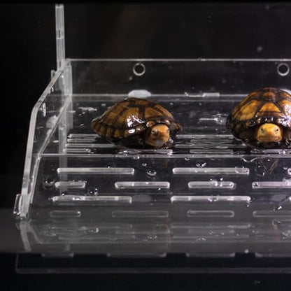 Clear Climbing Rest - Acrylic Turtle Ramp, Aquarium Tank Terrace Dock, Reptile Habitat Accessories Frogs Hermit Crabs Lizards | Durable Pet Lounge Shelf for Sunbathing Swimming