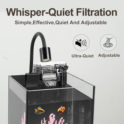Desktop Aquarium Mini Tank Kit, 1.2 Gallon Rimless Cube with Filter, LED Spotlight, Black Background, Glass Construction, Pipette for Betta Fish, Guppies, Tetras