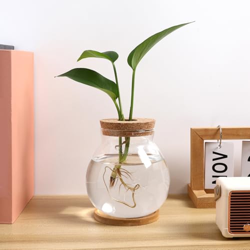 Toddmomy Desktop Hydroponic Glass Fish Bowl Mat Small Betta Tank for Aquatic Plants Terrarium for Home Office Lid