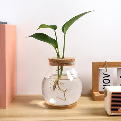 Toddmomy Desktop Hydroponic Glass Fish Bowl Mat Small Betta Tank for Aquatic Plants Terrarium for Home Office Lid