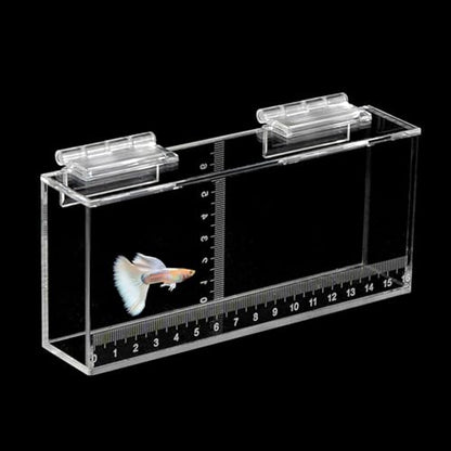 Fish Viewing Box Container with Lid and Scale,Acrylic Fishing Photo Tank Portable Fishing Mini Aquarium, Fish Breeder Hatching Boxes Clear Micro Landscape Fish Tank Isolation Breeder Box (M) - color: M