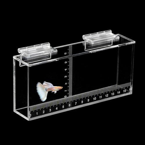 Fish Viewing Box Container with Lid and Scale,Acrylic Fishing Photo Tank Portable Fishing Mini Aquarium, Fish Breeder Hatching Boxes Clear Micro Landscape Fish Tank Isolation Breeder Box (M) - color: M
