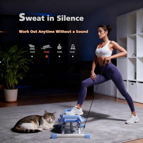 Ski Machine, 6-in-1 Balance Board with LCD for Home Workout