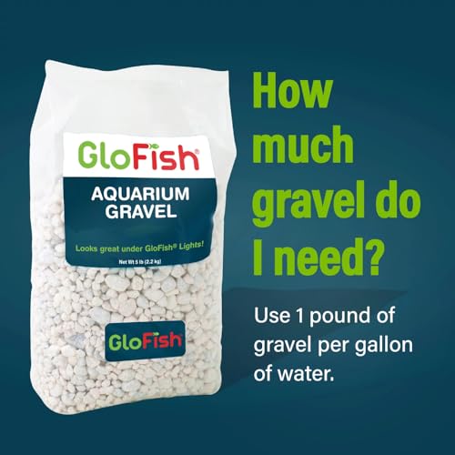 GloFish Aquarium Gravel 5 Pounds, White, Complements GloFish Tanks (29022) (Pack of 2) - color: White Frost, size: 5 pounds (Pack of 2)