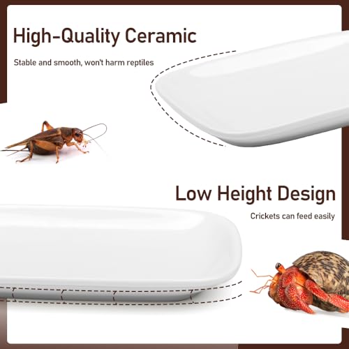 2 Pcs Small Reptile Feeding Dish Ceramic Eating Basin Feeding Bowl for Hermit Crab Snail Cricket Insect Invertebrate Isopod
