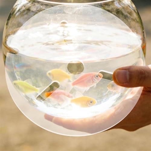 Acrylic Fish Tank Lid, Transparent Round Aquarium Cover, Anti Jump Protective Top Shield with Airflow Hole Feature, Lightweight Tank Guard Kit, Modern Style Lid, Office Use for Indoor