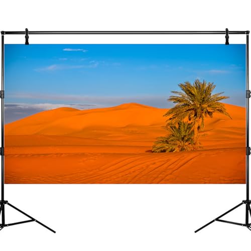 Desert Reptile Tank Background Majestic Sunset Desert Landscape Terrarium Background Desert Palm Tree Sand Dunes Reptile Habitat Background Sunrise Sahara Desert Aquarium Fish Tank Background 36x24in - size: 36(W)x24(H)inches/ 90(W)*60cm(H)