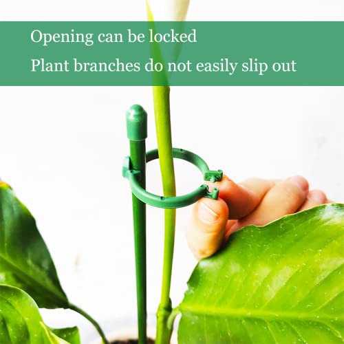 Belit 8 Pack Small Plant Support Plant Stakes, Adjustable Garden Single Stem Support Stake, Planter Support Ring for Orchid, Rose, Peony, Peppers and More, 16 inch - size: 15.7 Inch