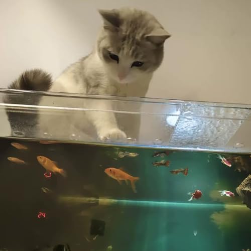 Aquarium Acrylic Canopy with Feeding Port, Adjustable Ventilation Lid, Jump-Proof Fish Tank Cover, Durable Pet Protection, Ideal for Aquatic Life - size: 70.7x21.5cm