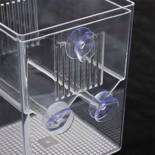 Baby Fish Breeding Box Clear Isolation Aquarium Hatchery Incubator with Suction Cups for Newborns Shrimp Fish Hatchery