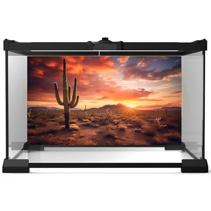 3 Pack Reptile Habitat Background Sunset Desert Terrarium Background Fantasy Forest Aquarium Background Gobi Sunshine Cactus Stone Green Fern Lizard Tank Terrarium Background 36x18in