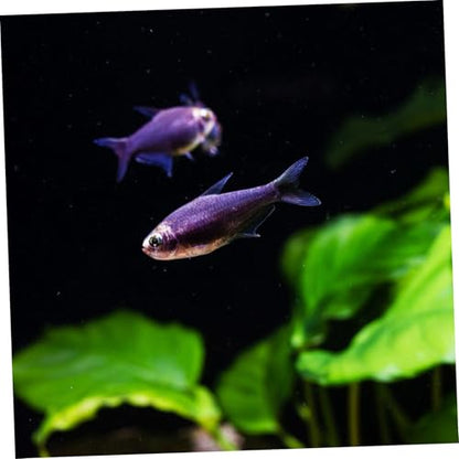 Fish Tank Background: Self-Adhesive Aquarium Wallpaper PVC Background Sticker Backdrop Roll for Home Aquarium Underwater Decoration