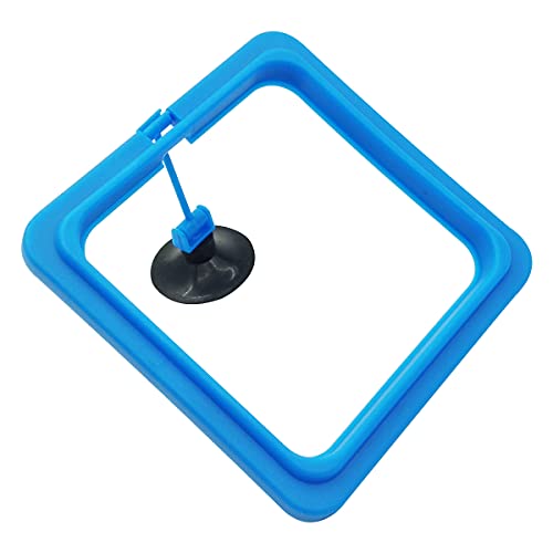 Fish Feeding Ring Floating Food Feeder Circle with Suction Cup Easy to Install Aquarium (Square) - color: blue