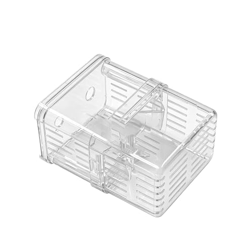 Breeder Box for Fish Tank, Transparent Floating Acclimation Hatching Incubator Box with Suction Cups, for Shrimp Guppy Platy Nursery, Hotel Lobby pet Store Cafe Aquarium Decor