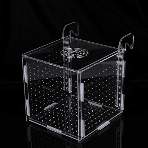 Aquarium Fish Breeding Box - Transparent Acrylic Fish Tank Hatchery Hanging Incubator for Shrimp Clownfish (Hook 151516cm)
