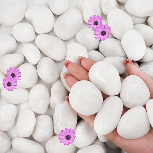 12lb White River Rocks for Plants Indoor, 1-2Inch Pebbles for Vases Fillers, Decorative Gravel for Fish Tank, Natural Polished Stones for Succulent, Bonsai, Landscaping, Bird Baths - color: White, size: 1-2"-12lb