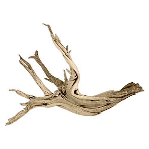 Koyal Wholesale 24" Driftwood Terrarium Decor, Clean California Manzanita Drift Wood Reptile Decor, Driftwood Decor for Home, Desert Reptile Supplies