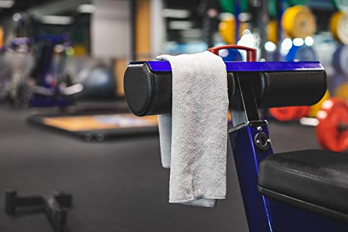 The Rag Company - Sport & Workout Towel - Gym, Exercise, Fitness, Spa, Ultra Soft, Super Absorbent, Fast Drying Premium Microfiber, 320gsm, 16in x 27in, Red (3-Pack) - color: Red