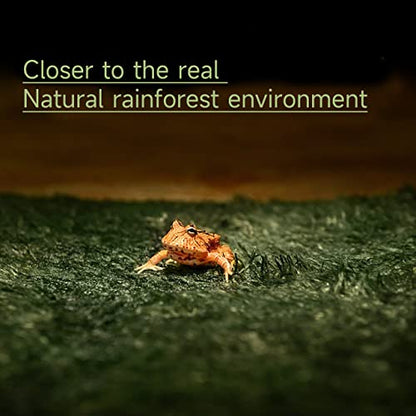 Moss Reptile Carpet, Raise Box Humidity, Fibre Mat for Pet Box Lining, Rainforest Reptile Supplies for Turtles, Lizards, Chameleons, Snakes, Horned Frogs, Bearded Dragons (17" x 24" x 1 Pack)
