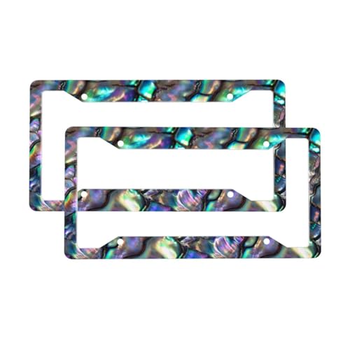 Abalone License Plate Frame 2 Pack Accessories Cars Decor 12.3 X 6.3 Inches for Men Women - color: Abalone