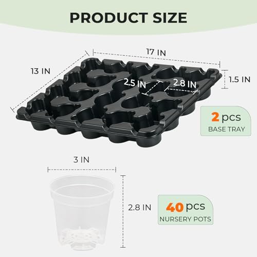 3 Inch Seed Starting Trays with Clear Nursery Pots, 2-Pack 20-Cell Seedling Starter Trays & 3" Nursery Pots 40 Pcs with Drainage, Plant Starter Germination Trays for Indoor Outdoor Growing - size: 3 Inch, style: 2 Pack Seed Starter Tray+Nursery Pots