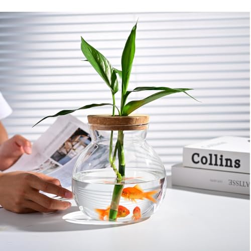 Small Fish Bowl, Cute Betta Tank, High Clear Fish Glass Bowl, Desktop Mini Aquarium Vases for Betta Fish and Hydroponic Plants, Plants Propagation Station, Home Office Table Decorations - size: 0.5 Gallon
