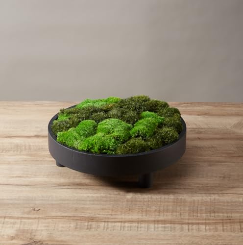 2 Color Mix Pack Preserved Pole Moss Pillow Bun Cushion Natural Decorative Green DIY Kit Art Wall Decor Florist Decor Easter Table Decor Wedding(1.5 sq.ft, Green-A,Green-B) - color: Color Mix-green-(a+b), size: 1.5 sq.ft.