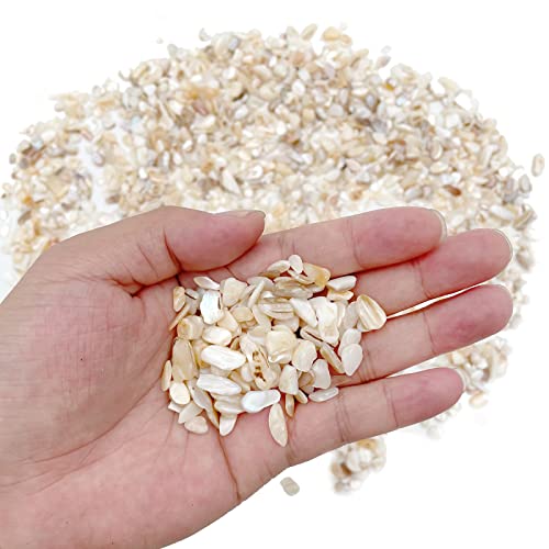Crushed Shells for Crafts, Sea Shells for Kids DIY Art, Vase Fillers Table Scatter, Party Favor, Wedding Decoration, Succulents Plants Soil Cover, Art Crafts (Beige)