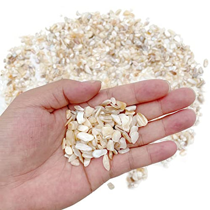 Crushed Shells for Crafts, Sea Shells for Kids DIY Art, Vase Fillers Table Scatter, Party Favor, Wedding Decoration, Succulents Plants Soil Cover, Art Crafts (Beige)