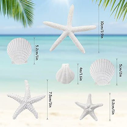 Sumind 8 Pcs White Starfish and Scallop Shells Decor White Aquarium 1-4 Inch Mixed Fish Tank Decor Resin Natural Beach Sea Shells Decorations for DIY Crafts Wedding Party Beach Home
