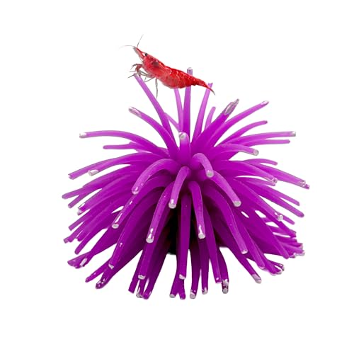 Fluorescent Aquarium Decor – Glowing Fish Tank Ornament for Freshwater & Saltwater | Safe for Betta, Shrimp, & Tropical Fish | Includes Collector Card (Purple, Small) - color: Purple, size: Small