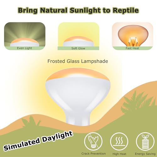75W Reptile Heat Lamp Bulbs, 2.5 Inch UVA Amphibian Basking Spot Light for Bearded Dragon, Lizard, Tortoise & Chicks – Simulated Sunlight, Daylight Bulb for Aquariums and Tanks | 2 Pack
