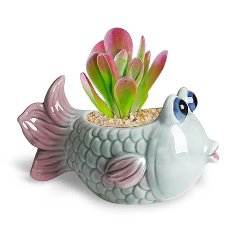 DIYOMR Tropical Fish Ceramic Planter, 5.8 Small Flower Pot Decoration Desktop Windowsill Decor,Indoor Outdoor Succulent Cactus Pot for Plant Lover (Green) - color: Green
