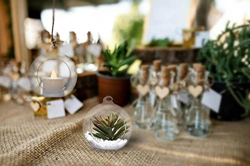 Hanging Glass Candle Holder, Globe Glass Tea Light Holder, Hanging Glass Vase, Flower Plants Terrarium, Glass Orbs Container, Micro Landscape DIY for Home, Office, Wedding (2.36" 12Pcs) - color: 2.36"12pcs