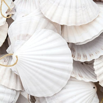24Pcs Scallop Shells White Natural Seashell 2"-3" Perforation Scallop Shells with Rope for Christmas Tree Ornaments & DIY Hanging Home Deocration Craft